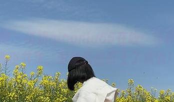 微密圈 – 俏妞qiaoniu66在线：写真中的雅俗共赏，眼睛偷偷盯上了点滴！