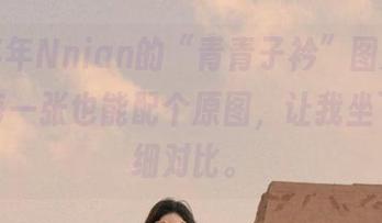 看着年年Nnian的“青青子衿”图册，真希望每一张也能配个原图，让我坐下来仔细对比。