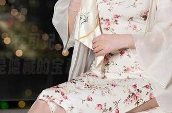 秀人网 – 在司妃SL的学妹图集中，资源像是隐藏的宝藏，你敢来找吗？